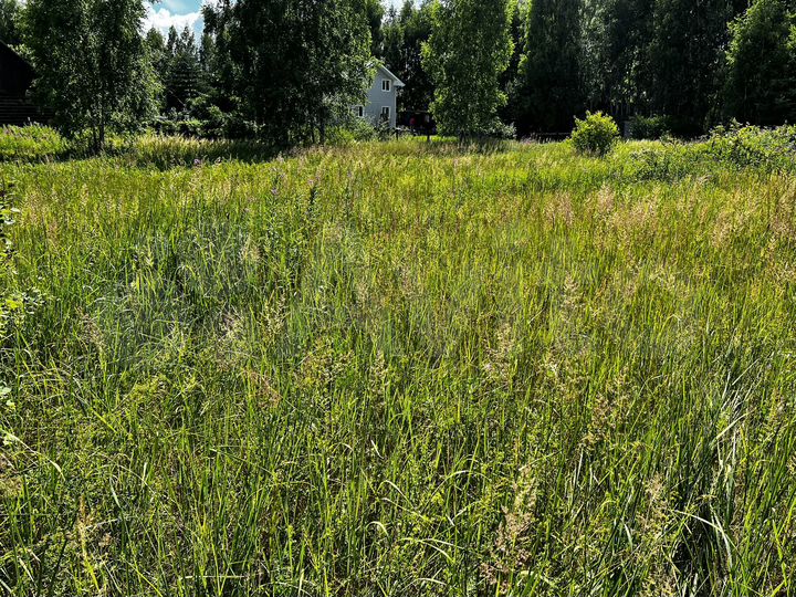 Участок 16 сот. (СНТ, ДНП)