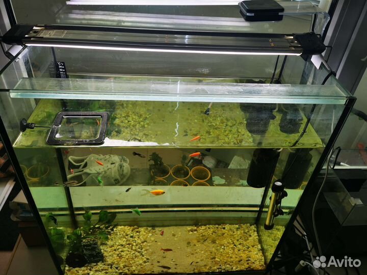 Аквариум с рыбками 108л