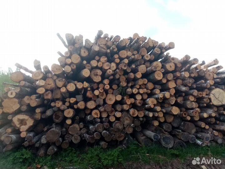 Баланс на дрова береза