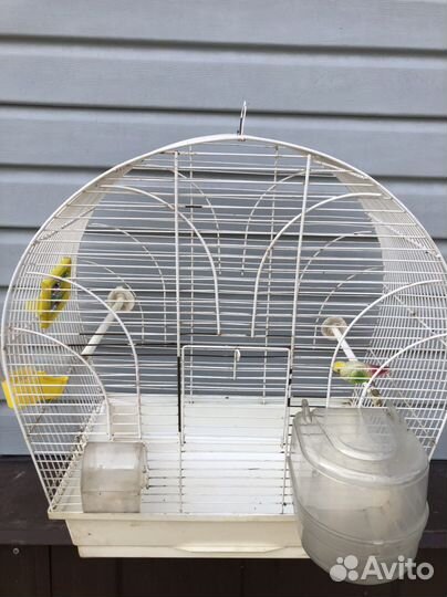 Клетка для грызунов бу