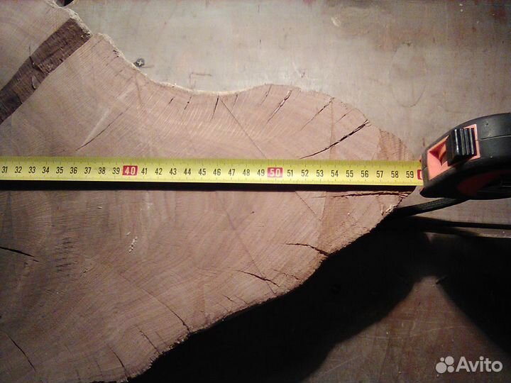 Корень дуба, спил