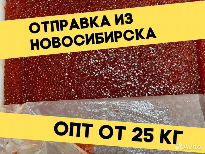 Красная икра нерки, улов 2023 года