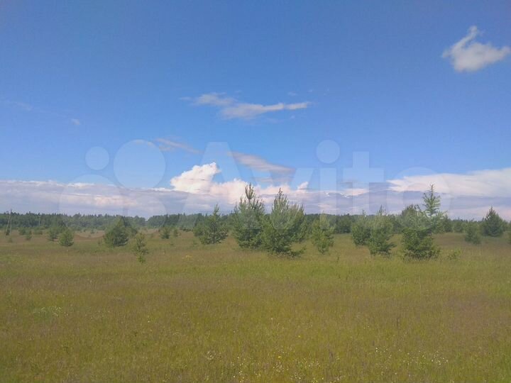 Участок 8 сот. (СНТ, ДНП)