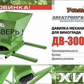 Натуральный Фруктовый экстракт «Белое вино Аргентина» 500г