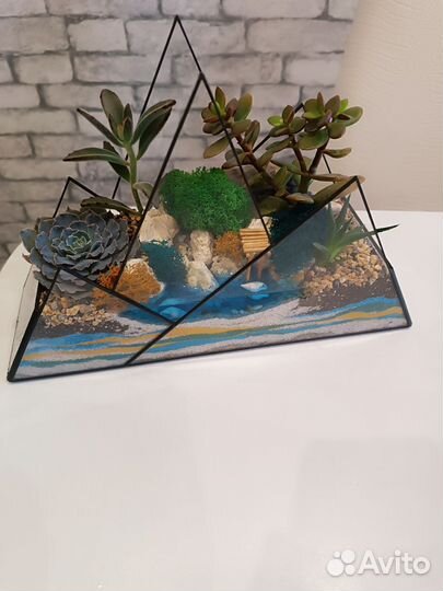 Флорариум. Цветы. Подарок