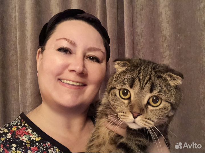 Передержка кошек и других животных (кроме собак)