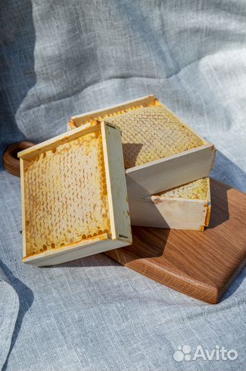 Соты пчелиные в рамке