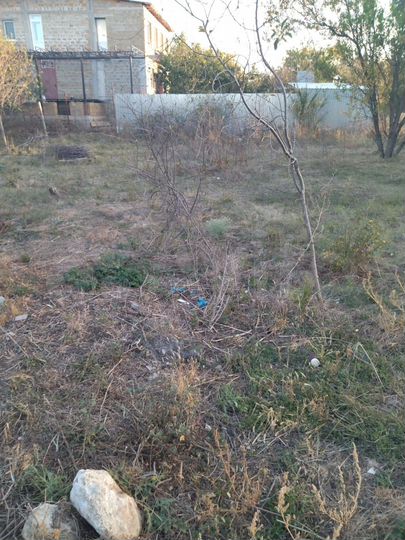 Участок 4,6 сот. (СНТ, ДНП)