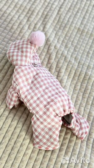 Для маленькой собаки