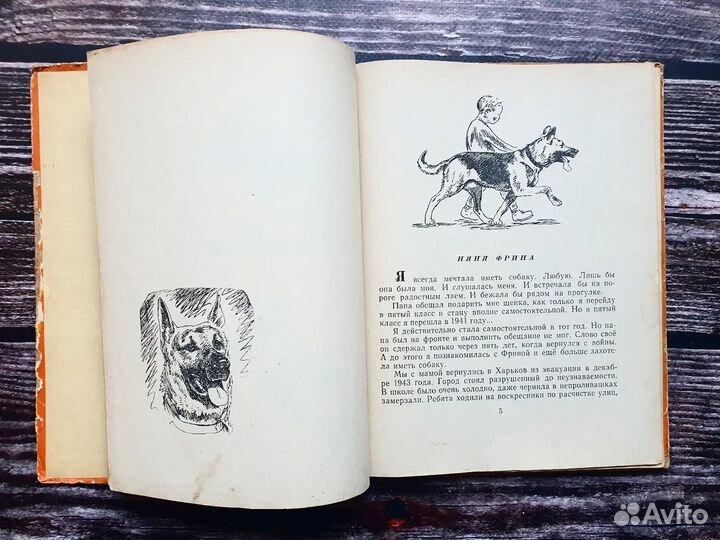 Бабич. Как львы между собой сговорились 1964 г
