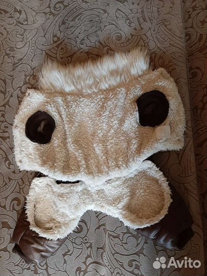 Одежда для собак