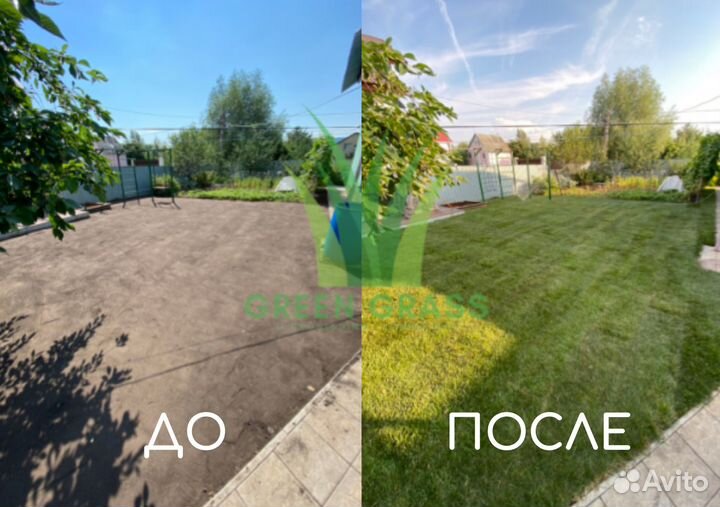 Рулонный газон под ключ