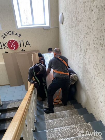 Услуги грузчиков на час без оплаты за этаж Газели