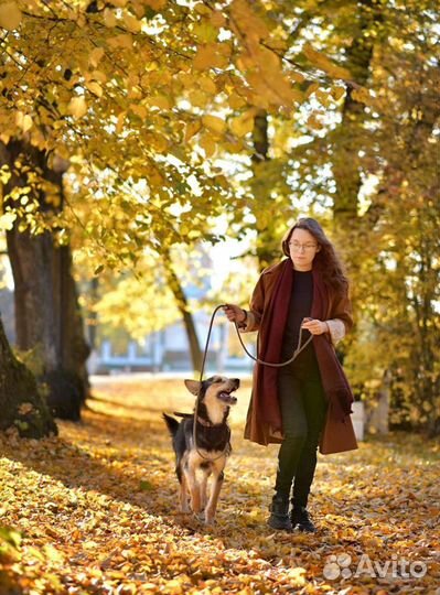 Необычный парень Джой