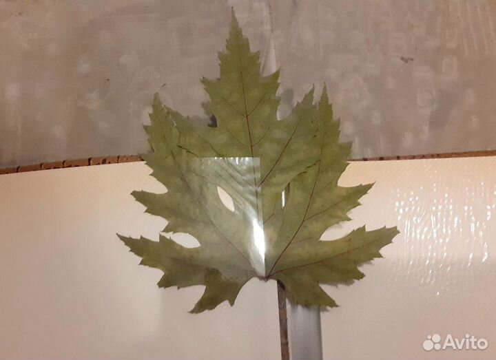 Фотоальбом 30х32 Новый