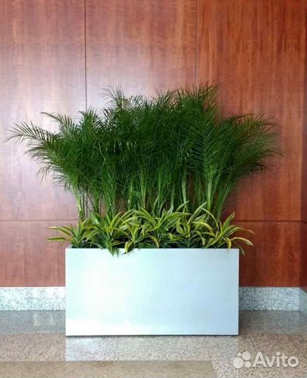 Вазоны для цветов