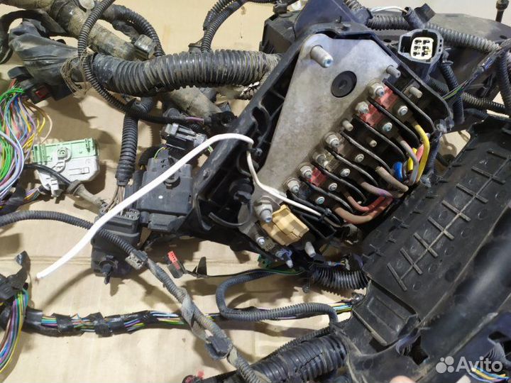 Проводка моторного отсека Ford Focus 3 седан 1.6