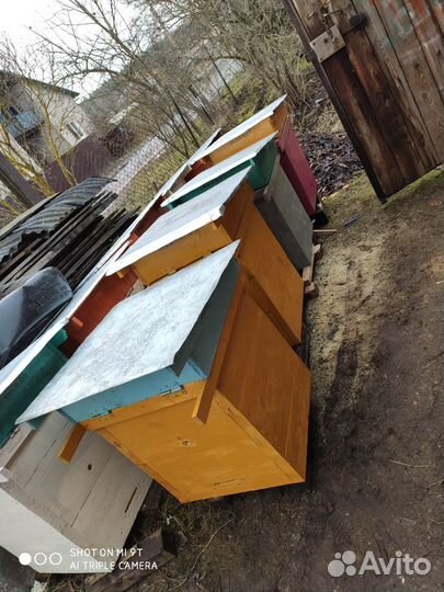 Пчелиный улей