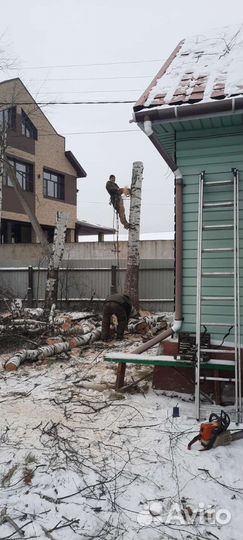 Очистка участков от деревьев, кустарников