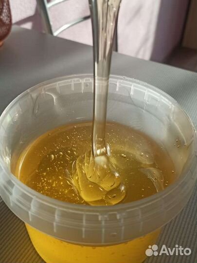 Мед алтайский