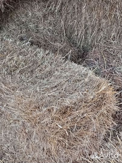 Сено в тюках и солома