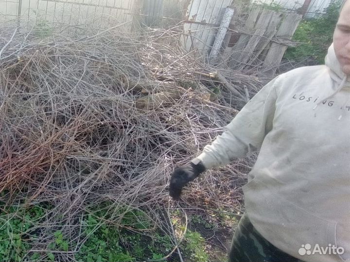 Расчистка участка спил деревьев корчевание