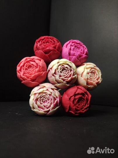 7 Пионов из Бельгийского Шоклада