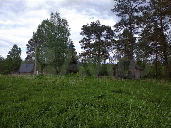 Участок 1,13 га (ИЖС)