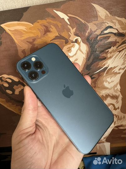 iPhone 12 Pro Max, 256 ГБ