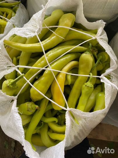 Перец цицак сладкий