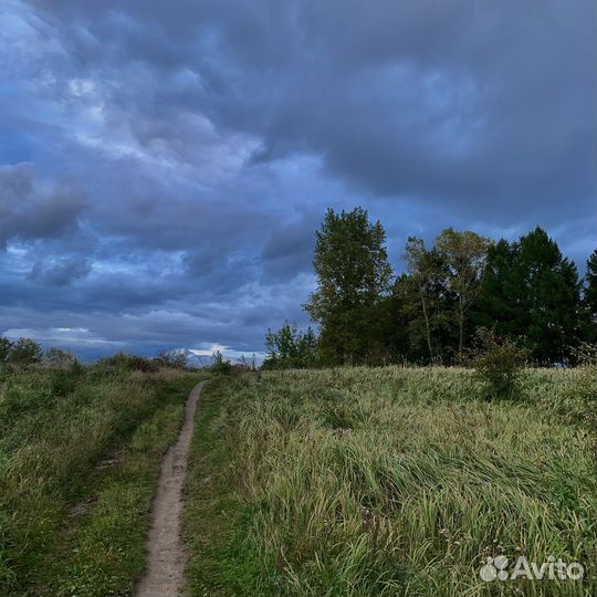 Мобильный фотограф на iPhone