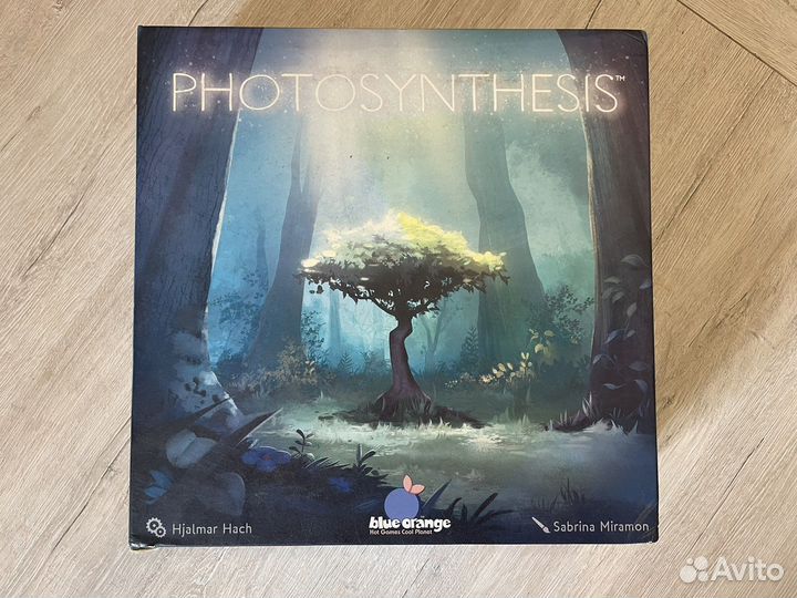 Фотосинтез/Photosynthesis