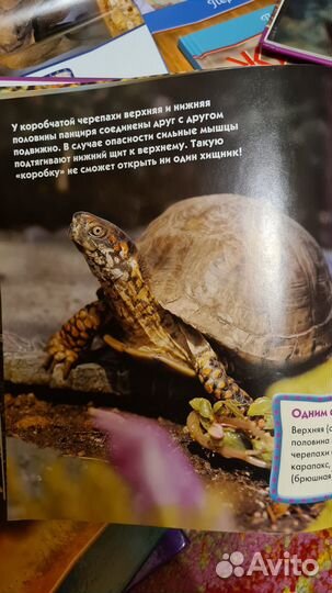 Книги для детей