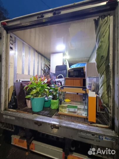 Грузоперевозки, рефрижератор,грузчики,переезды