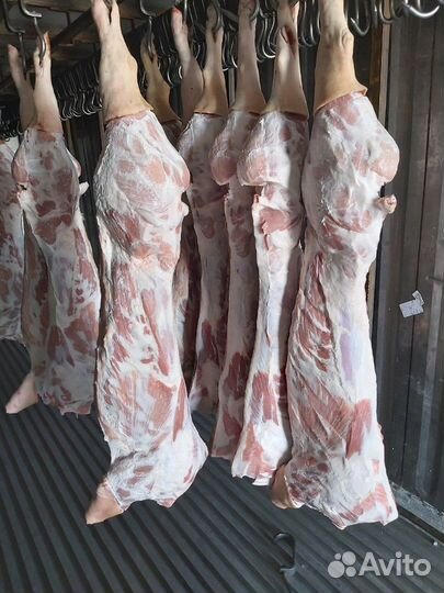 Свинина в полутушах охл