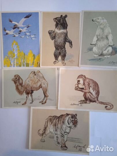 Открытки СССР художник А. Лаптев