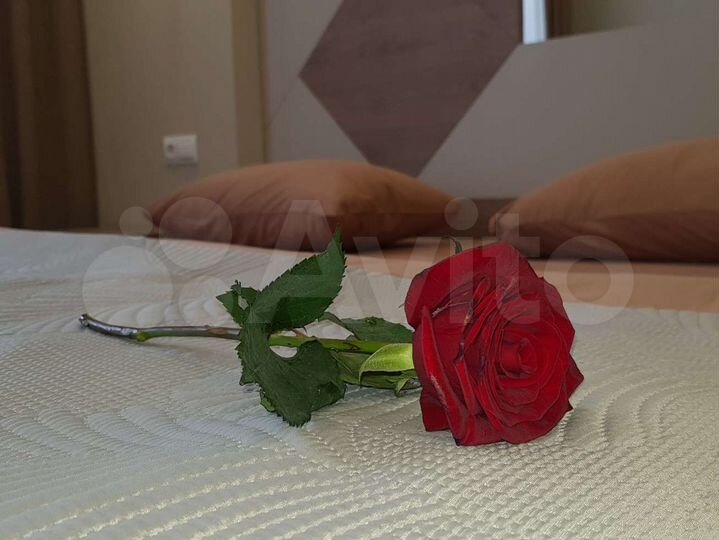 1-к. квартира, 45 м², 10/11 эт.