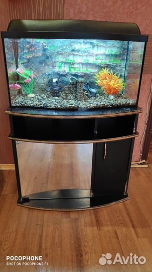 Аквариум