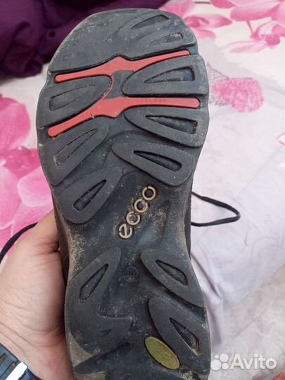 Кроссовки ecco мужские 44см