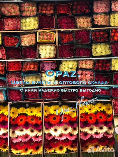 101 роза 51 роза 25 15 роз Цветы Букеты Доставка