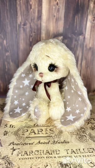 Зайка Звездочёт