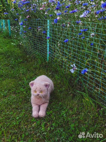 Вязаный котенок