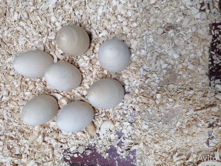 Заготовки яйца, из натурального дерева липа