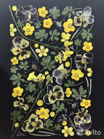 Картина из сухоцветов