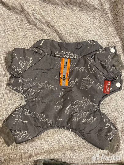 Одежда для собак мелких пород