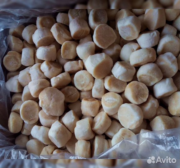 Гребешок Сахалин