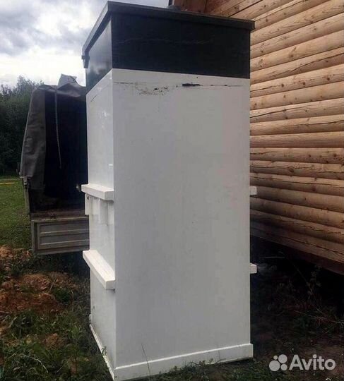 Септик