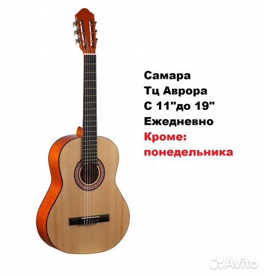 Гитары от 3000 и классика Homage LC-3910