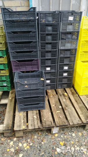 Ящик для хранения овощей