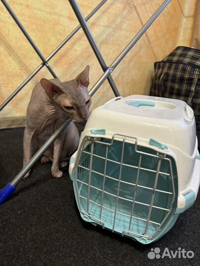 Переноска для кошек